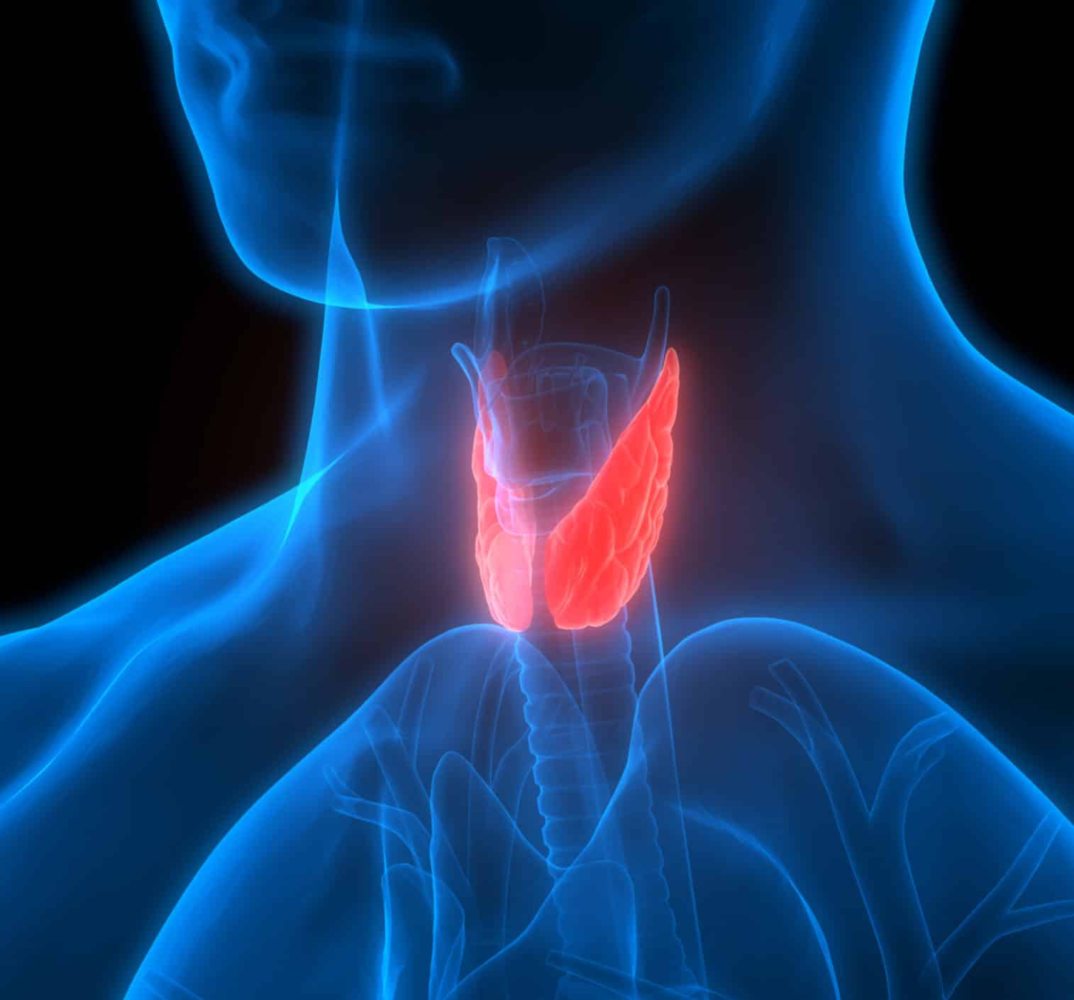 Эндокринология щитовидной железы. Болезнь Грейвса базедова. Щитовидная железа красивая картинка.