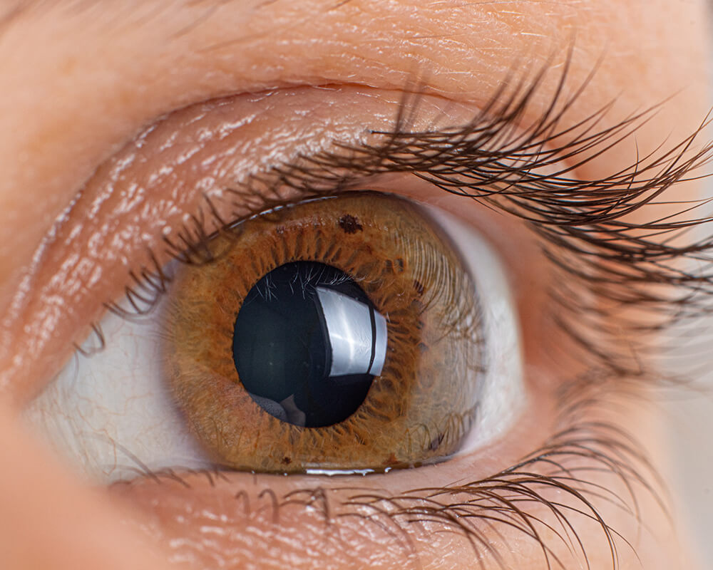 close up of the eyes cornea